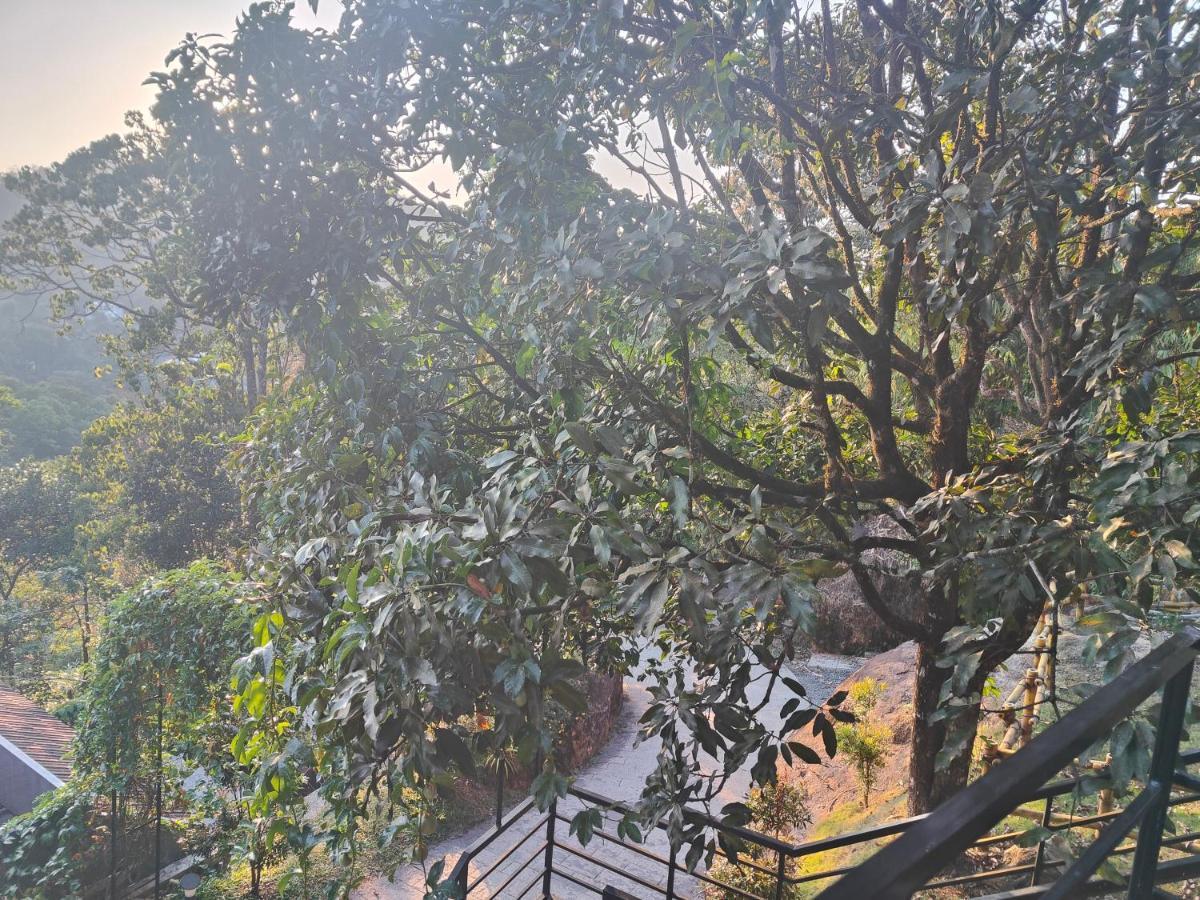 The Wild Trails Clarks Exotica , Munnar Hotel Exterior foto